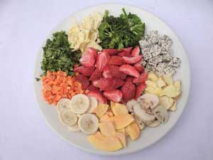 freeze dried food