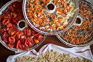 dehydrated food