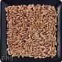 red wheat