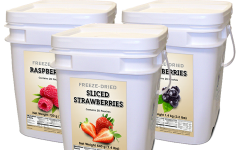 Food For Health - Freeze Dried Berry Kit - 480 Servings