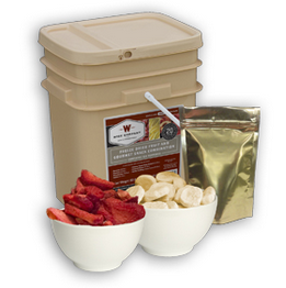 Wise Foods - 120 Serving Freeze Dried Fruit and Snack Bucket