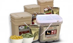 FSR Wise Food and Fire Combo