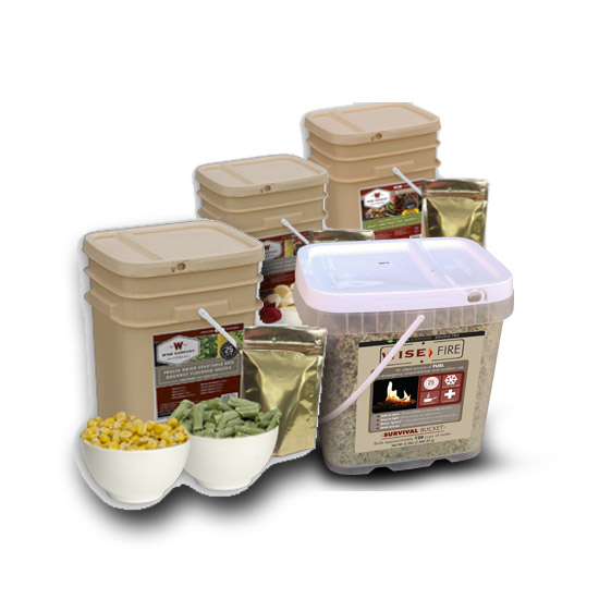 FSR Wise Food and Fire Combo