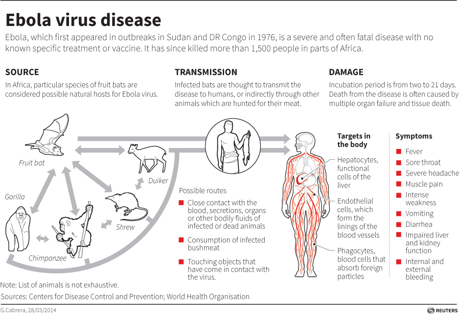 Ebola Virus Disease