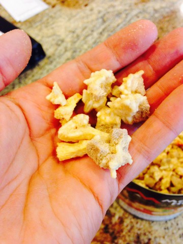 Freeze-dried food