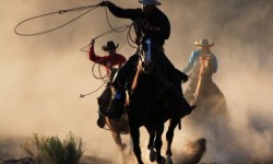 round up